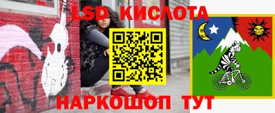 спайс Донской