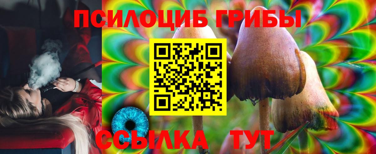 Псилоцибиновые грибы Cubensis Кизляр
